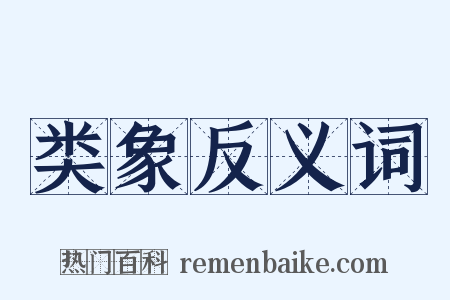 类象反义词是什么意思的图片